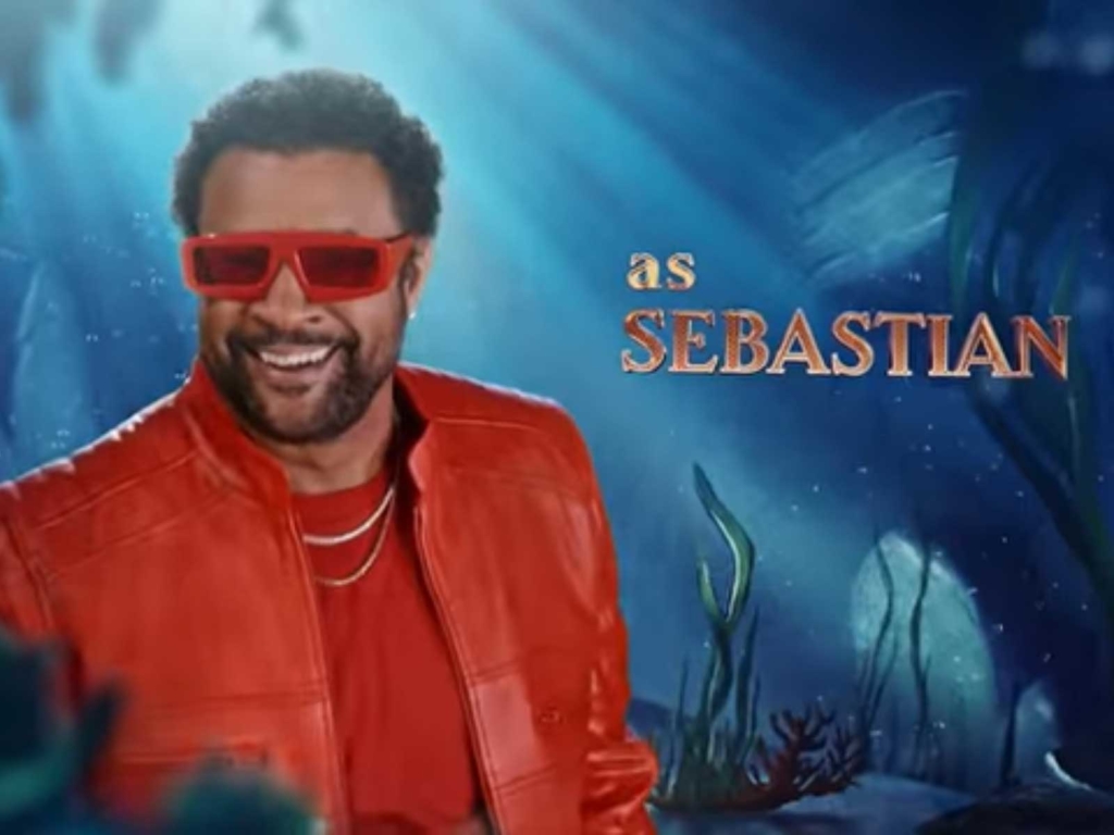 Shaggy wird im Live-Musical von Arielle die Krabbe Sebastian sein. (Screenshot: ABC)