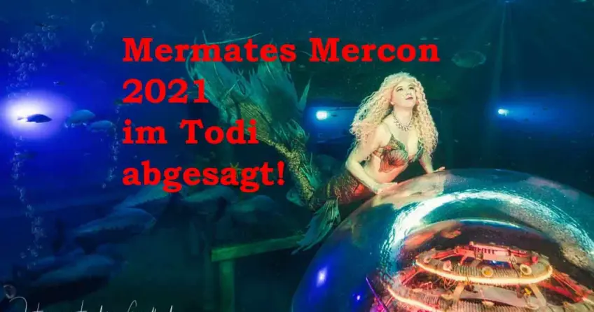 Für mich gibt's im Juni 2021 leider keine Rückkehr ins Todi Tauchcenter. Die Mermates Mercon wurde dort abgesagt.