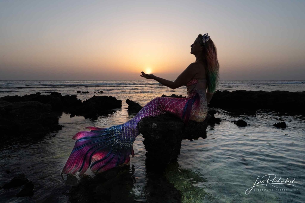 Meerjungfrauen Bilder: Shooting mit The Mermaid (Diana Mayr).
